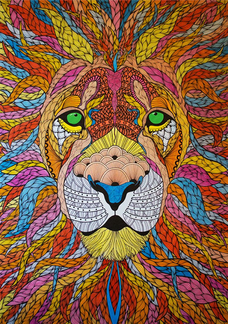 Lion illustration process video