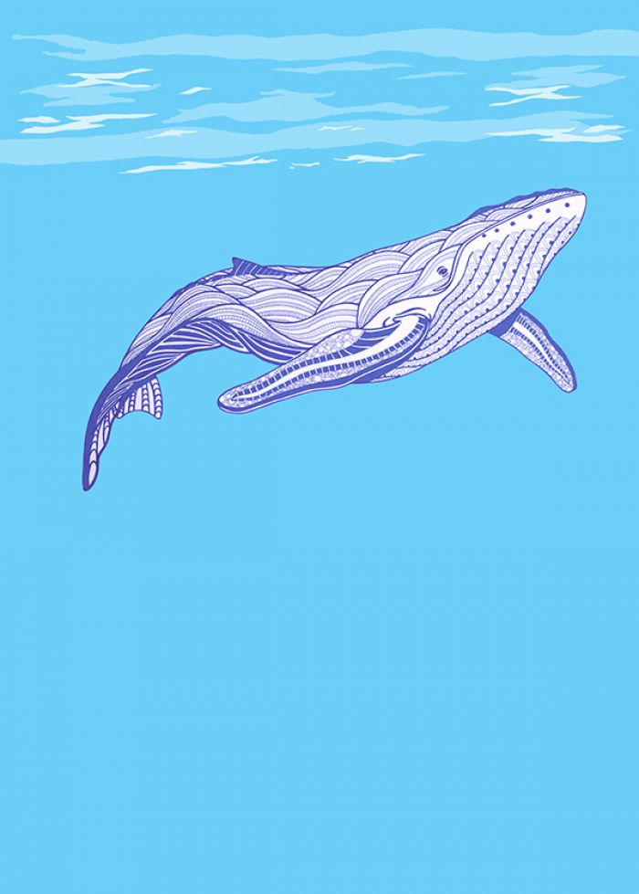 Patterned Whale